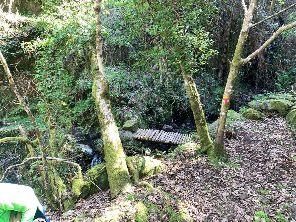Casas Do Talasnal Lousã Eksteriør billede